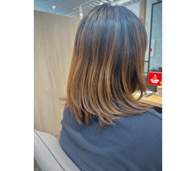 https://ezs-sapporo.com